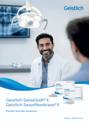 swissline folleto chile